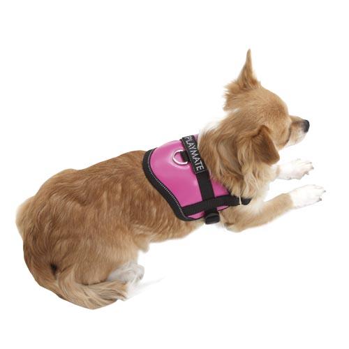 Coleira peitoral para cães, especialmente concebida para raças pequenas, design moderno, tamanho pequeno (Tiny-Weeny), cor rosa, tamanho P.