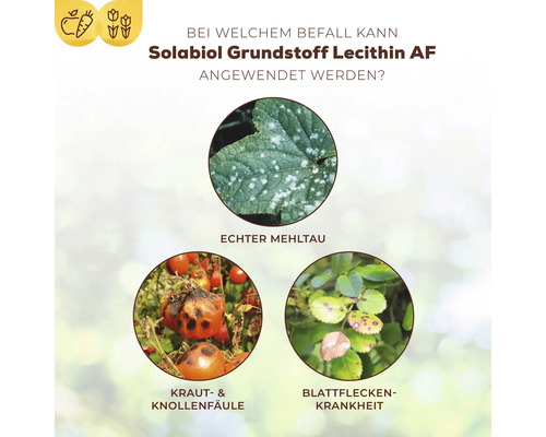 Lecithine basis ingrediënt Solabiol plantenversterkende spray 1 l gebruiksklare pompspray natuurlijke schimmelbescherming op groenten