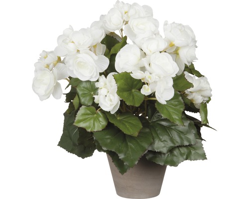 Kunstbegoniabloem, Ø 25 cm, H 30 cm, wit