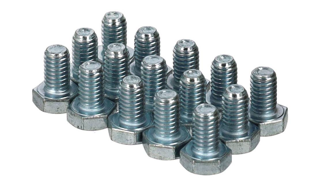 Bolte M6x10 mm - 15 stk.