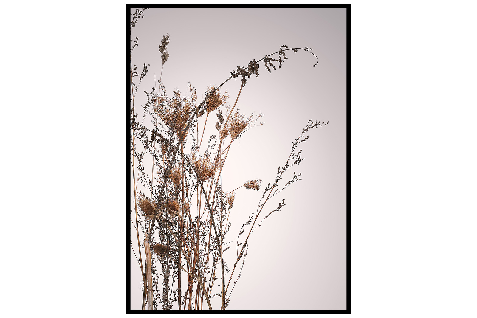 Newline Everlasting bilde Poster av naturelement med sort ramme. 50x70 cm