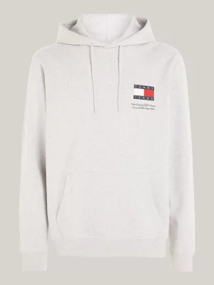 Moletom com Capuz Essential Logo