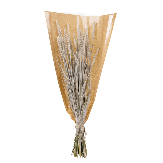 Bouquet épis de blé séchés Longueur : 60/65cm - 100gr