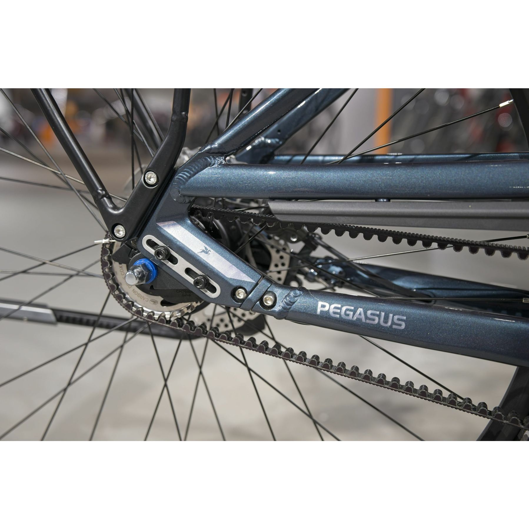 Pegasus Premio EVO 5F Lite Belt