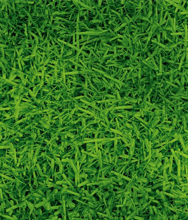 Dehner Herbstrasen-Nachsaat, 750 g