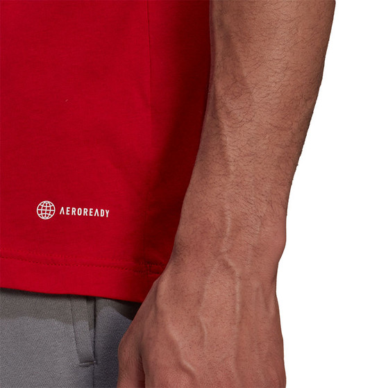 adidas Entrada 22 Tee