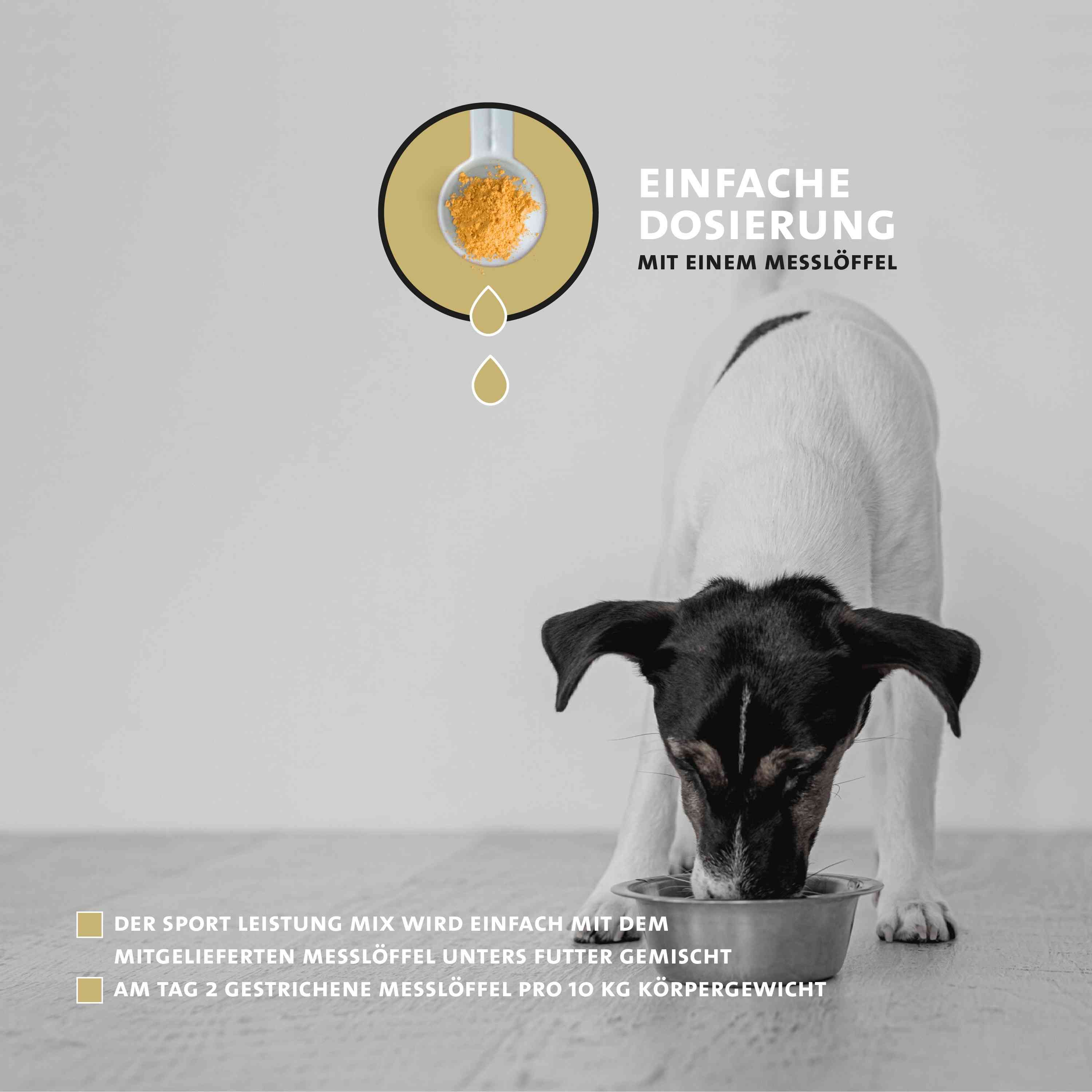 Peticare Ergänzungsfutter Pulver für sportliche Hunde, für Ausdauer & Vitalität