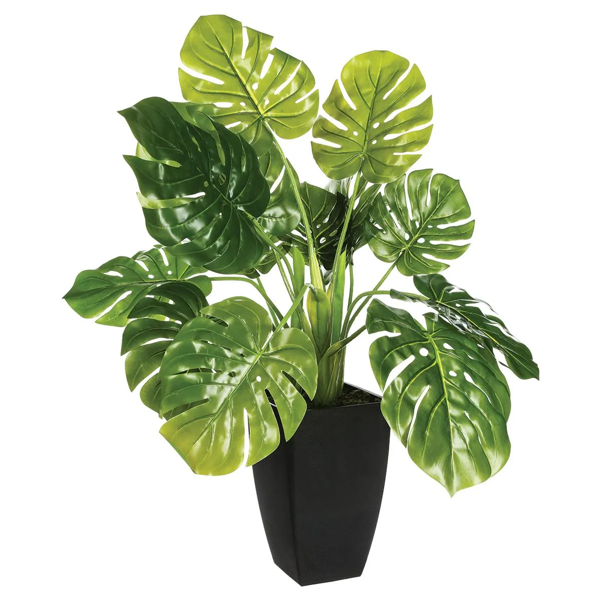 Atmosphera, Createur D'Interieur Plante verte en pot
