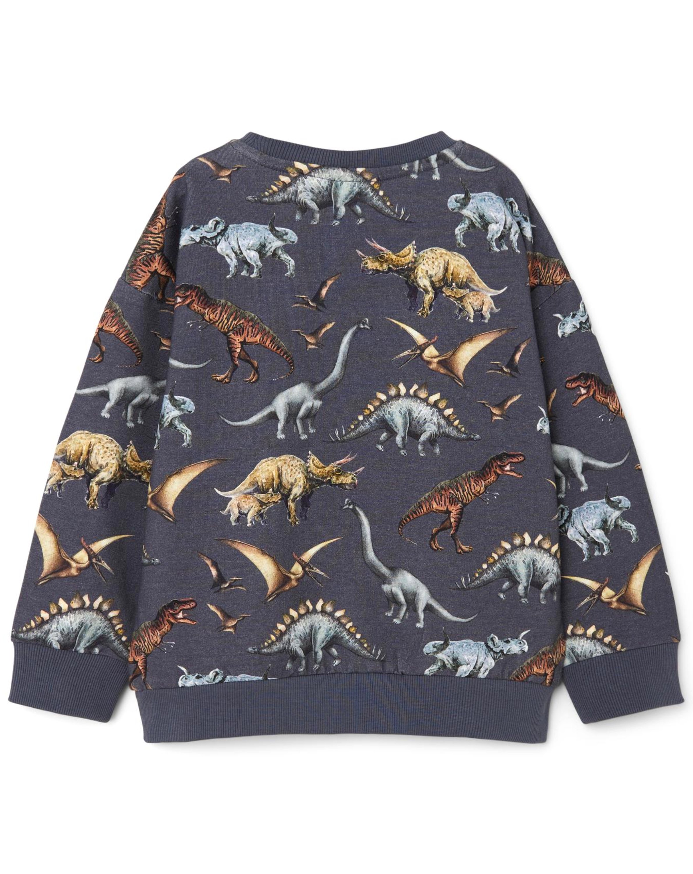Sweatshirt NMMDJURS DINOS in wild wind