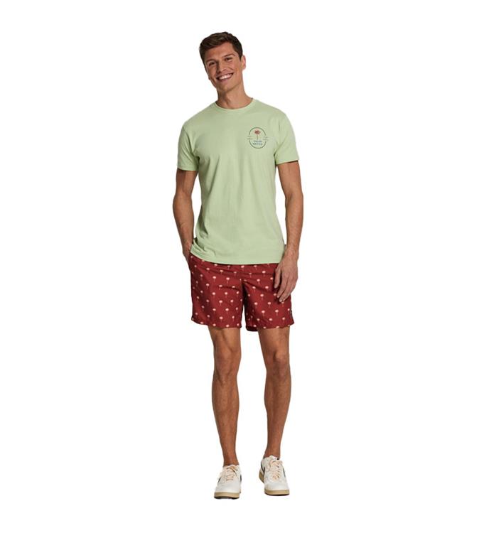 men swimshort scratched shiwi palm