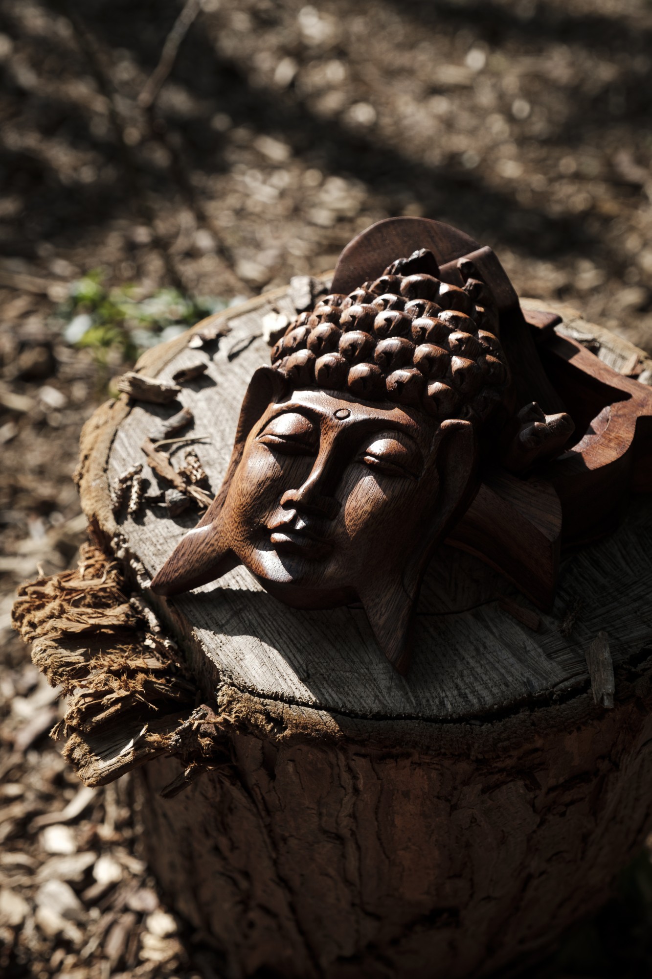 Secret-Box 'Buddha', T 16 cm, B 9 cm, H 6 cm von fischer's lagerhaus