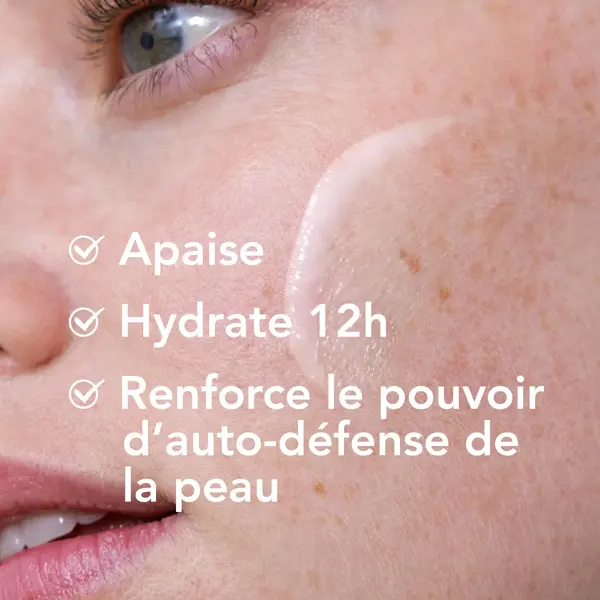 Bioderma Créaline Creme Ativo Calmante Rico Defensivo 40ml