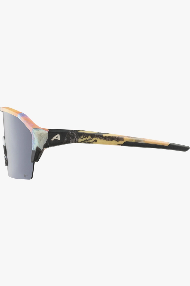 ALPINA RAM HR HM+ Sportbrille