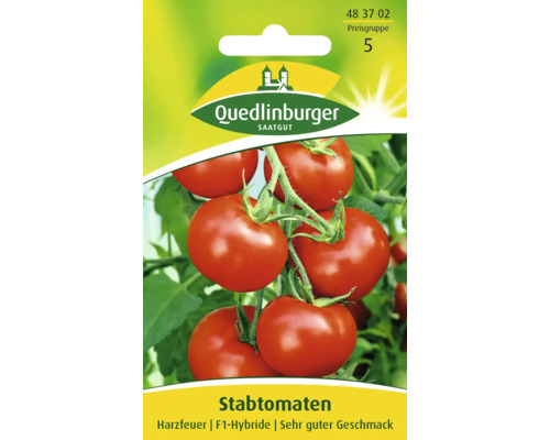 Onbepaalde tomaat 'Harzfeuer' Quedlinburger groentezaden