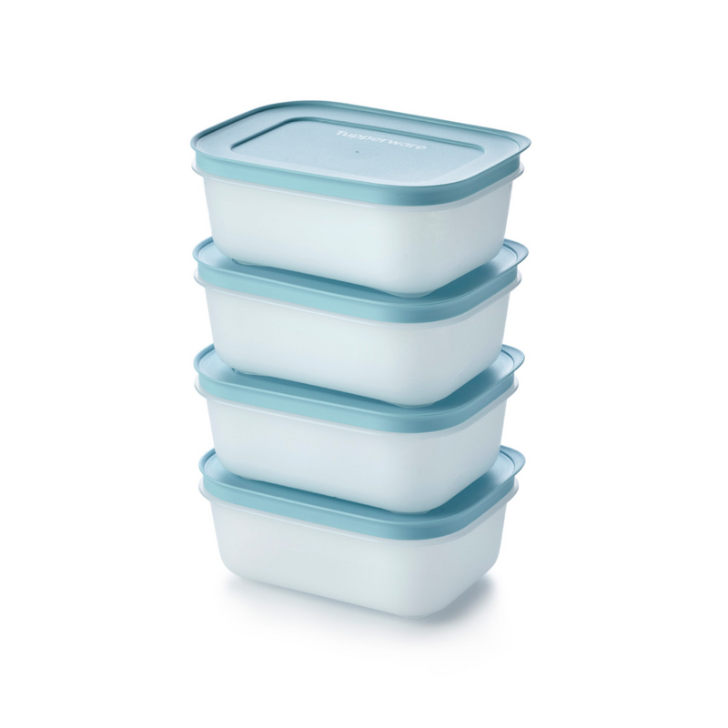 Eis-Kristall 450ml (4) Der Gefrierbehälter für eine Portion Suppe
