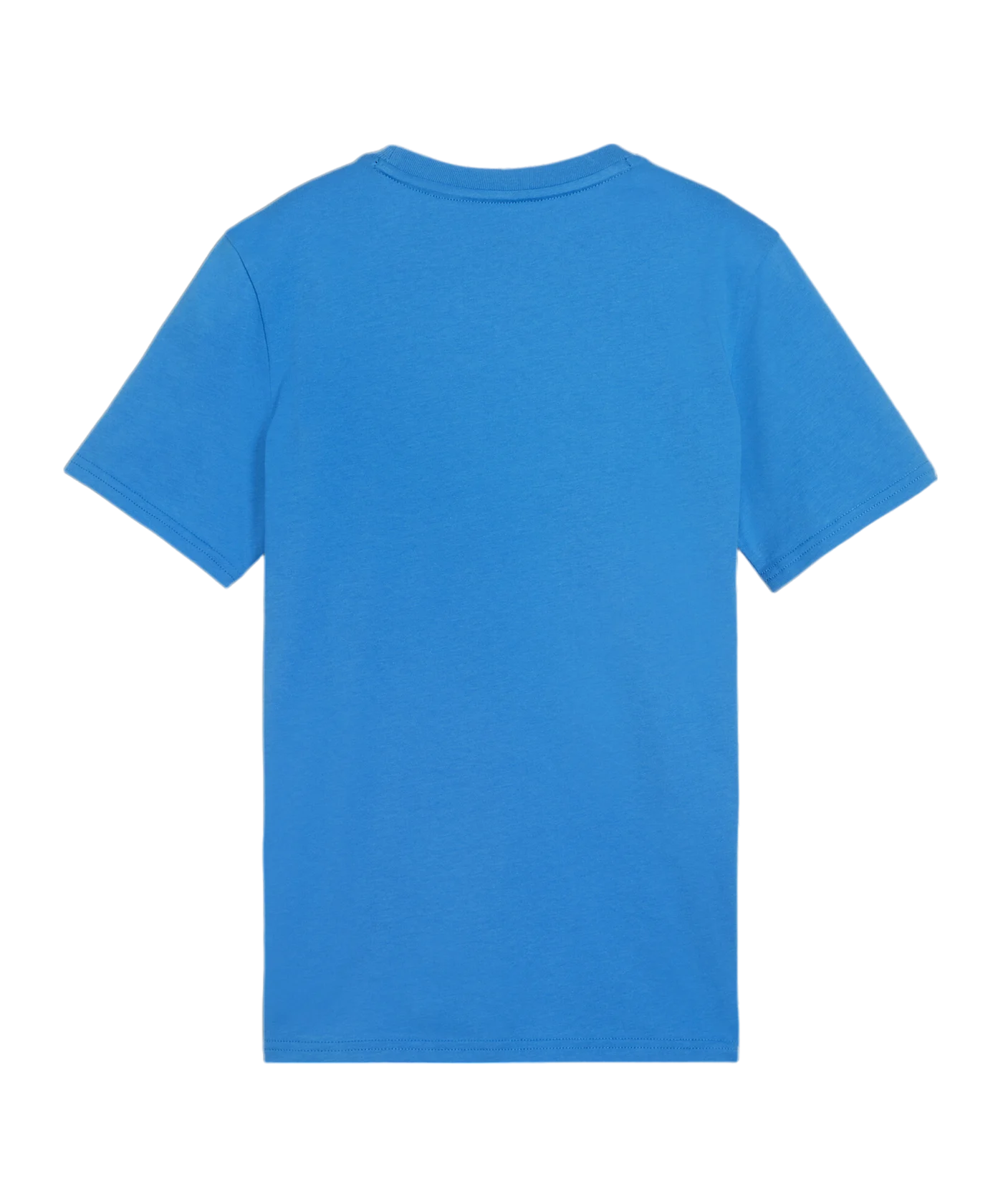 PUMA teamGOAL Casuals T-Shirt Kids Blau F02