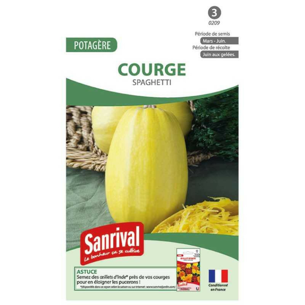 Graines courge spaghetti