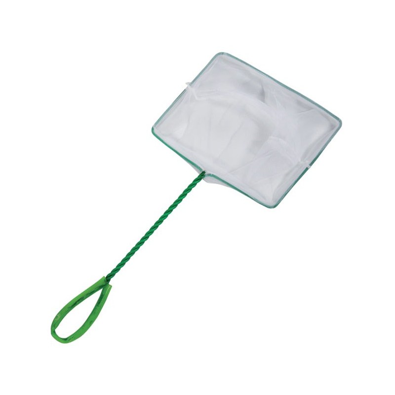 Epuisette A Vif Ragot Vert