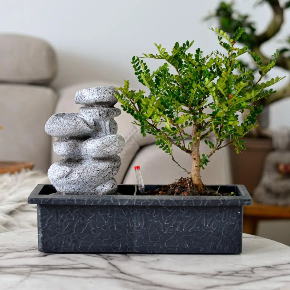 Bonsai met waterval - Set van 2 - Bonsai - Hoogte 25-35cm - ⌀29cm