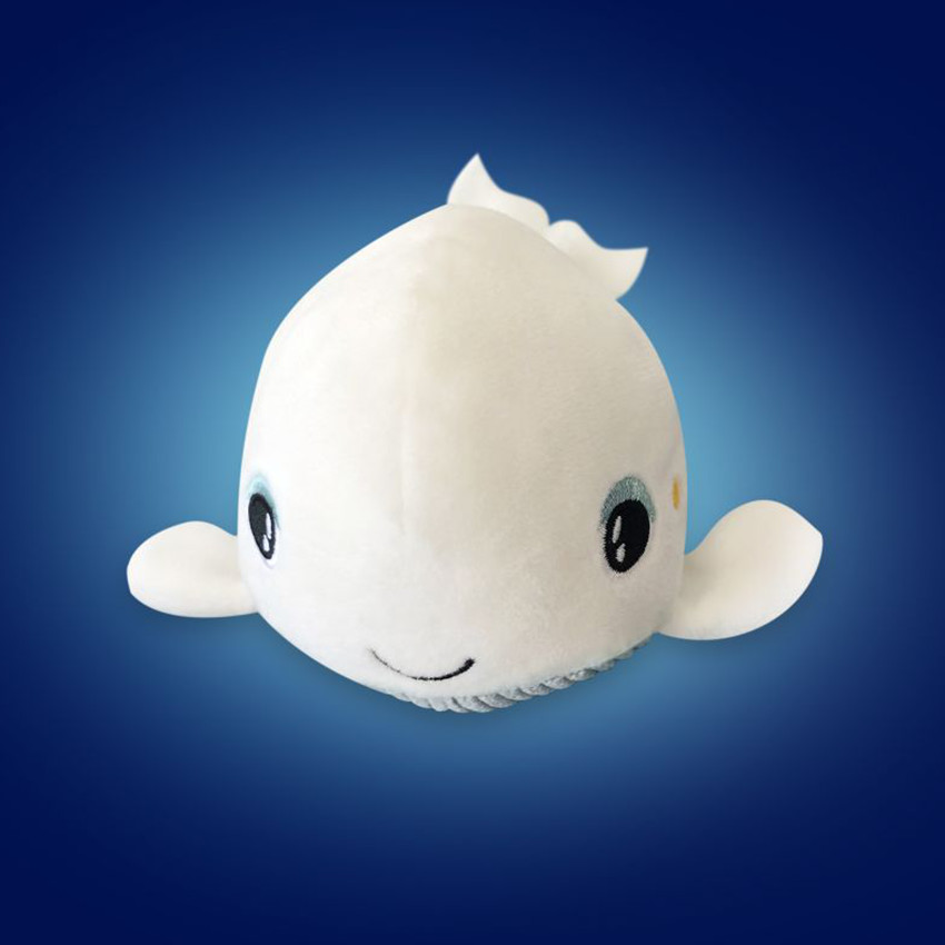 Veilleuse Baleine Shakies
