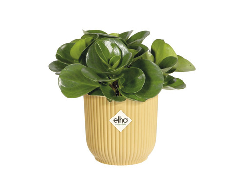 elho Vibes fold ronde mini plastic plantenbak Ø 7 cm H 6,5 cm geel