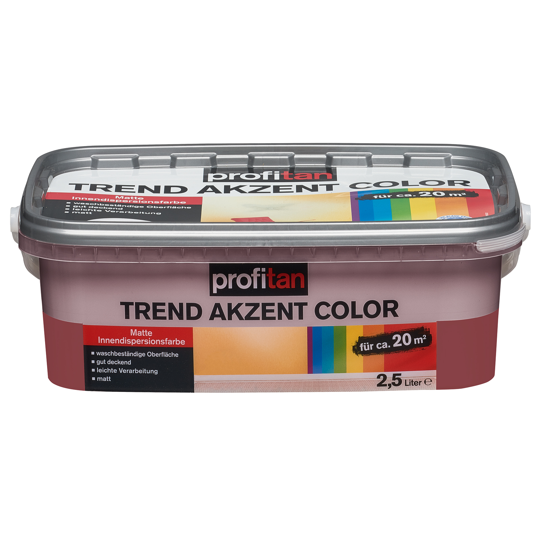 profitan Wandfarbe Trend Akzent Color - beere - 2,5 Liter
