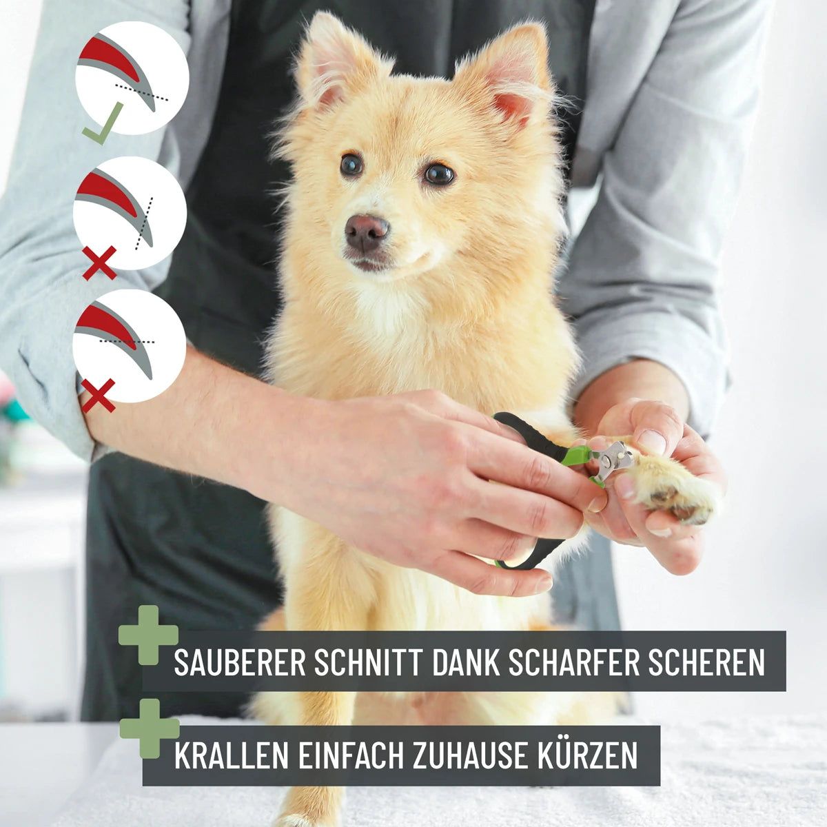 Krallenschere S für kleine Pfoten - ReaVET