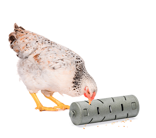 Alimentador interativo com rolo para galinhas e outras aves - Brinquedo para galinhas - Alimentador divertido para galinhas - Rolo de petiscos
