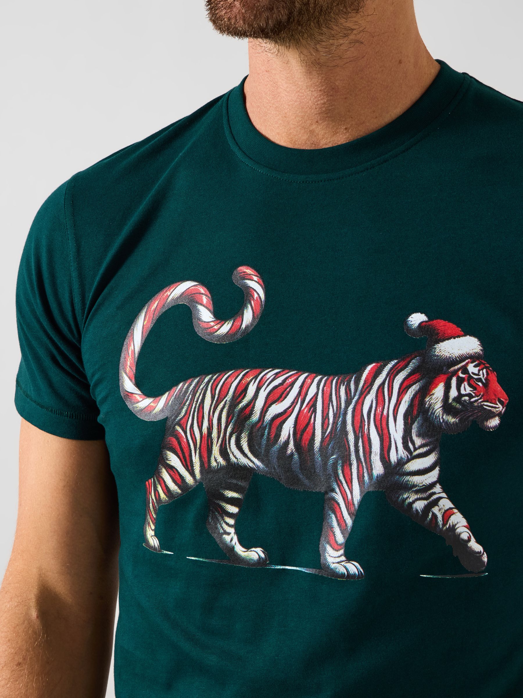 Joe Browns Candy Cane Tiger T-Shirt