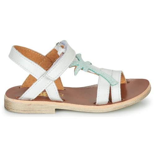 GBB - SAPELA - Blanc