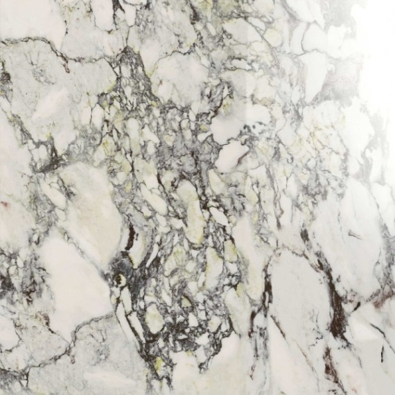 Tegelsample: Navale Mármore vloertegel 60x60cm capraia glans gerectificeerd