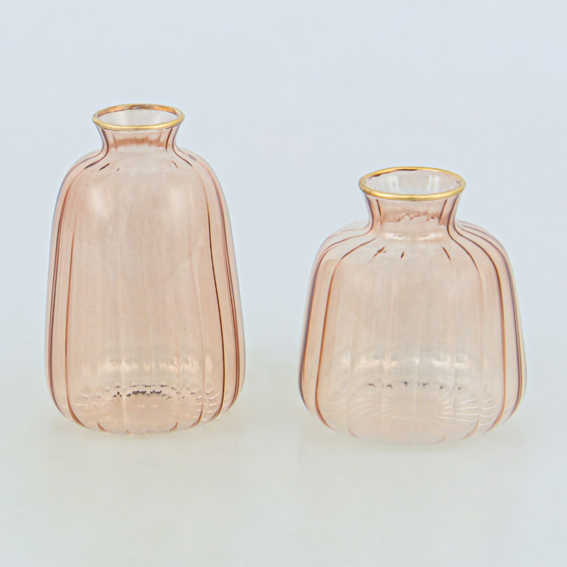 Soliflore 'Peachy'