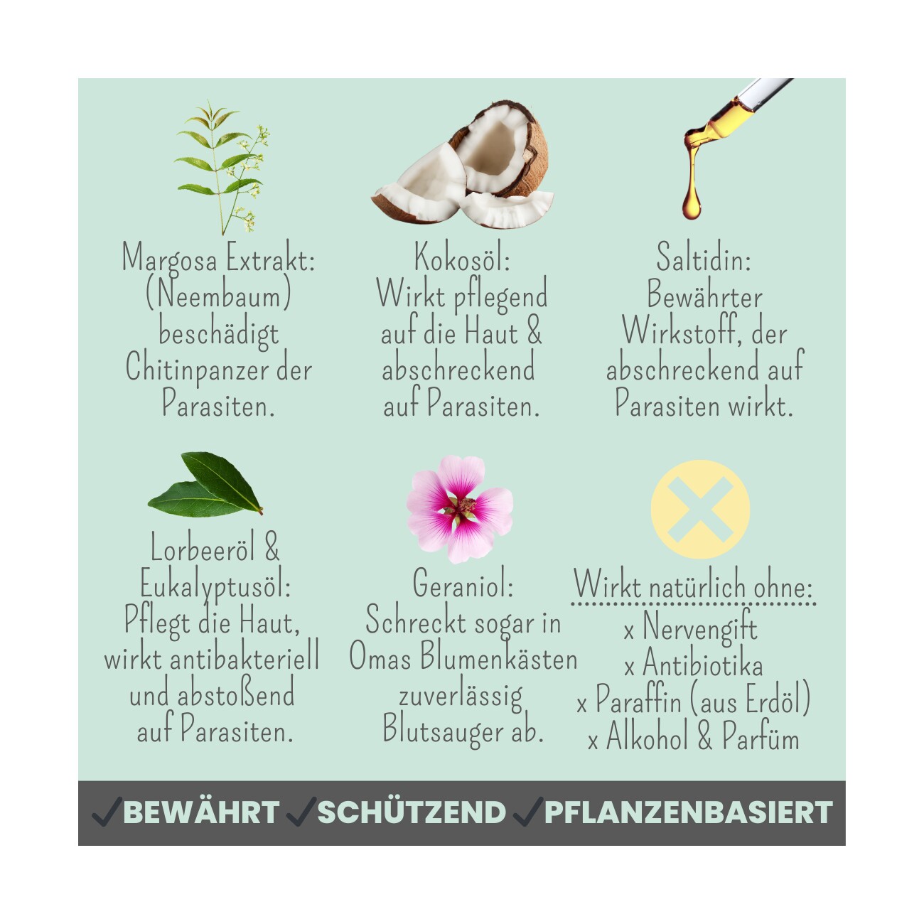 noms+ Zpot-on für Hunde gegen Zecken, Flöhe, Milben & Mücken 50ml