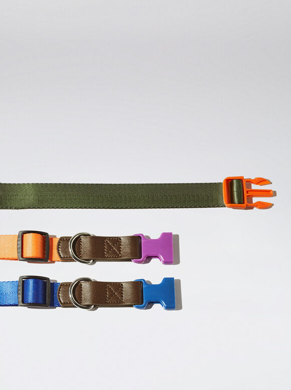 Coleira Personalizável Para Perros - Caqui
