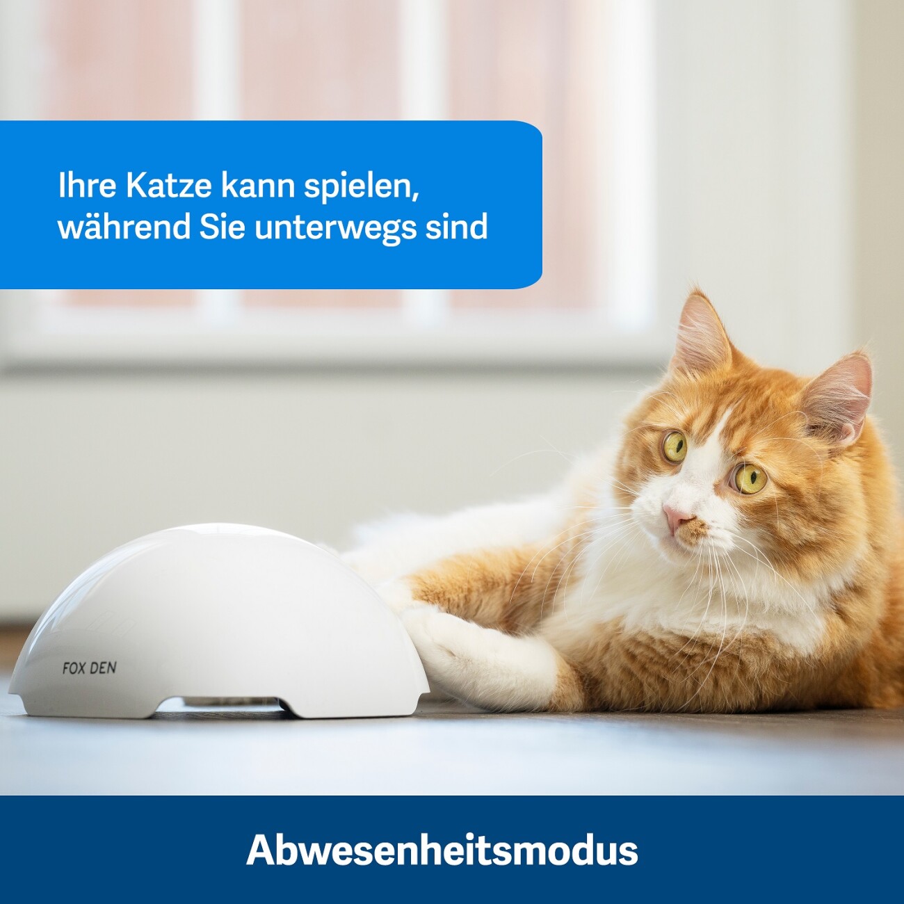 PetSafe Automatisches Katzenspielzeug Fox Den