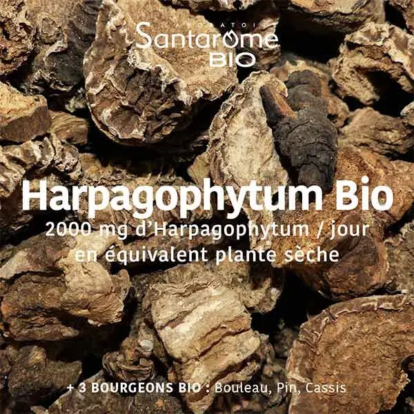 Santarome Bio Harpagophytum Bio 2000 - Douleurs articulaires - 20 ampoules