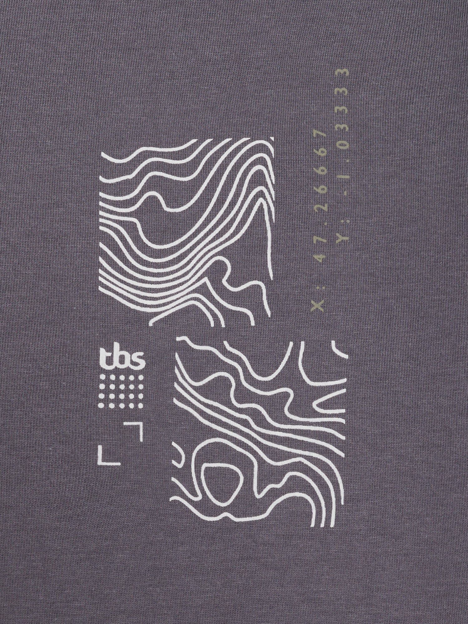 Tee Shirt Homme Coton Biologique Gris