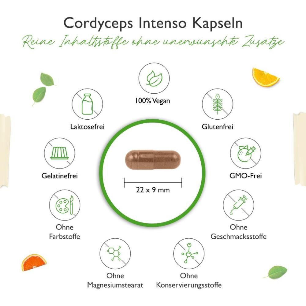 vit4ever Cordyceps Intenso