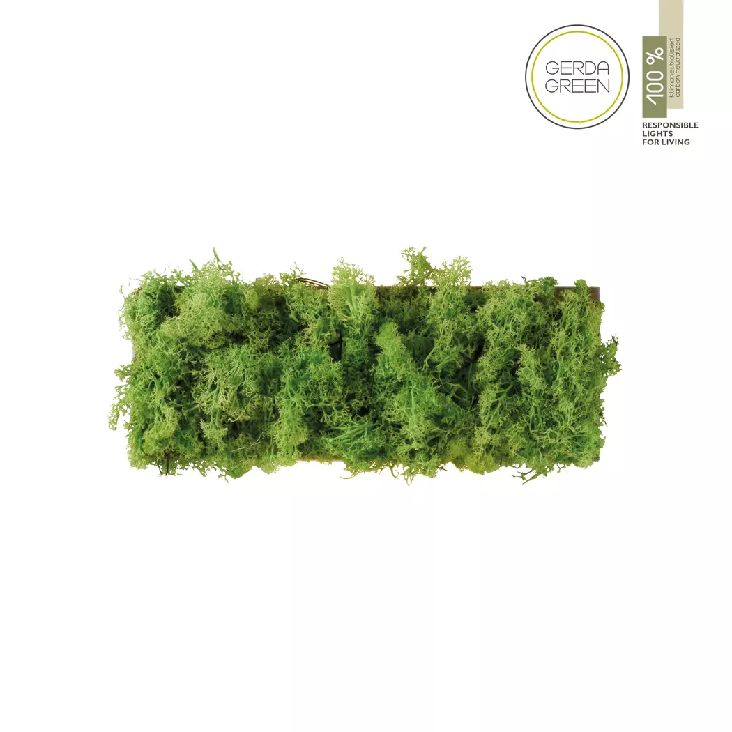 LED-Wandleuchte Green Carl