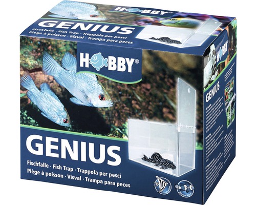 HOBBY Geniale visval 21x13x15 cm