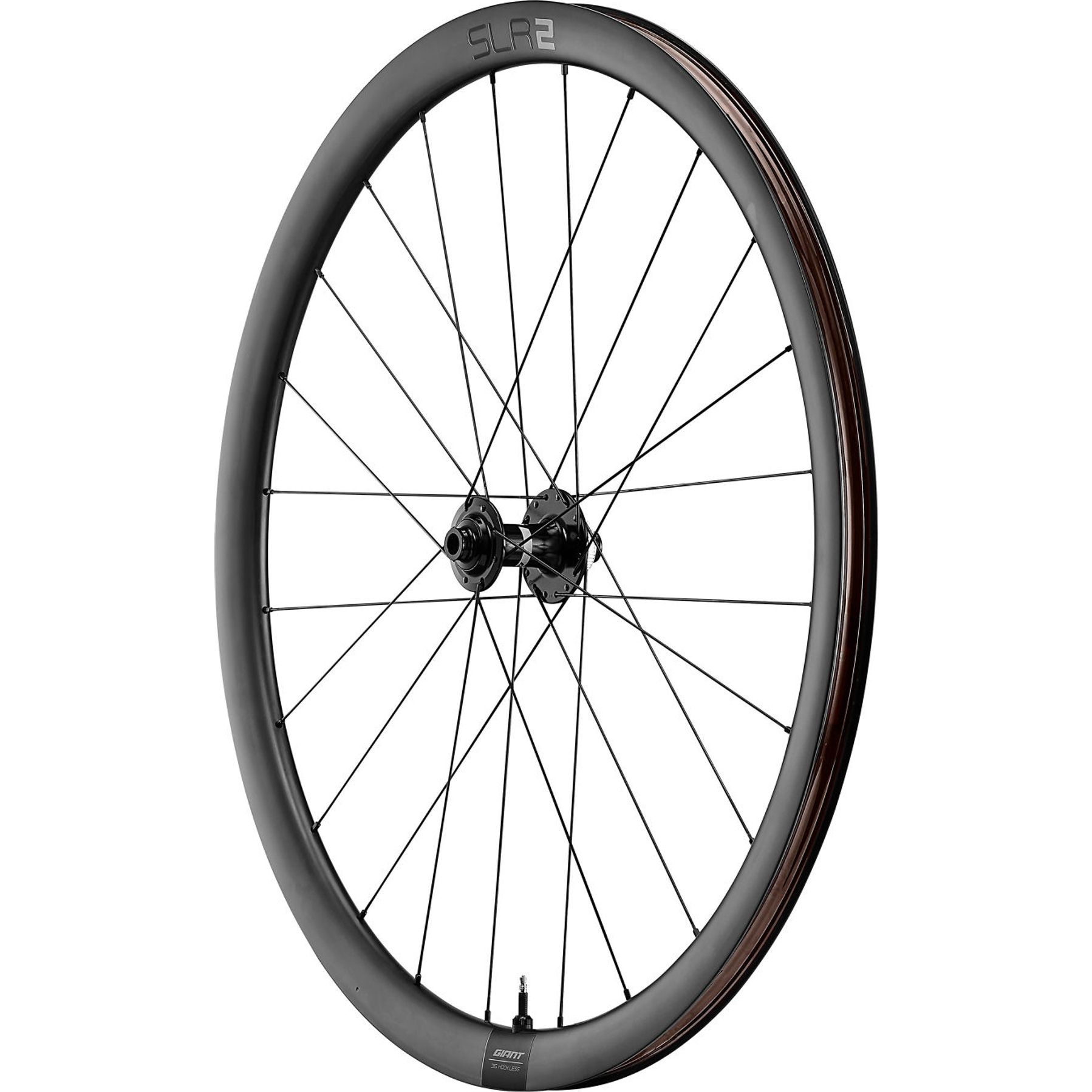 Giant SLR 2 36 Disc Racefiets Wielset
