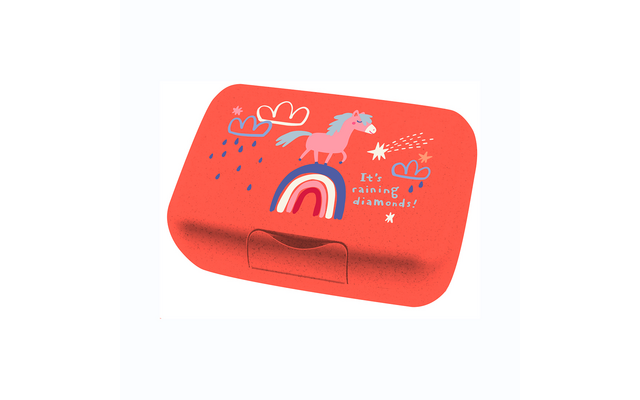 Koziol Candy L Box Lunchbox / Brotdose mit Trennschale