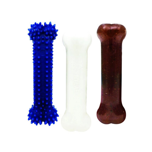 Nylabone Puppy Starter Kit