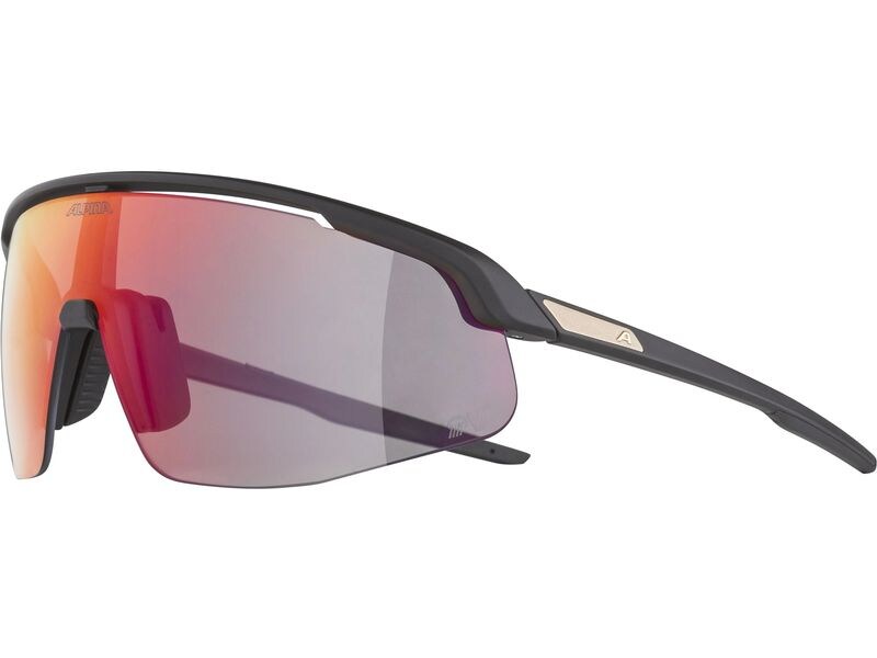 alpina Sportbrille Turbo Pro QV - Schwarz matt Velobrille Cat. 1-3