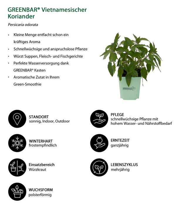 GREENBAR® Exoten-Set, 6-teilig