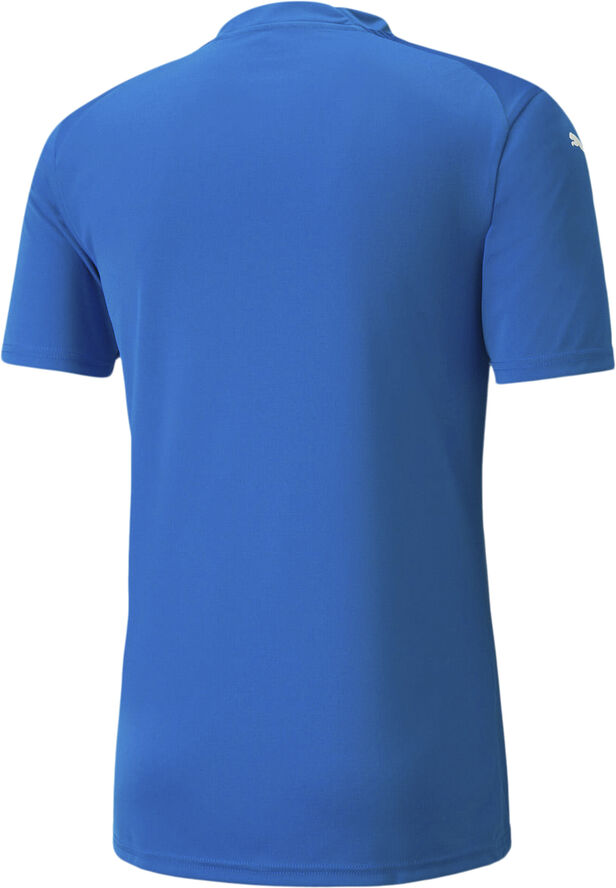 Puma Teamglory Jersey - Trænings T-shirt Blå