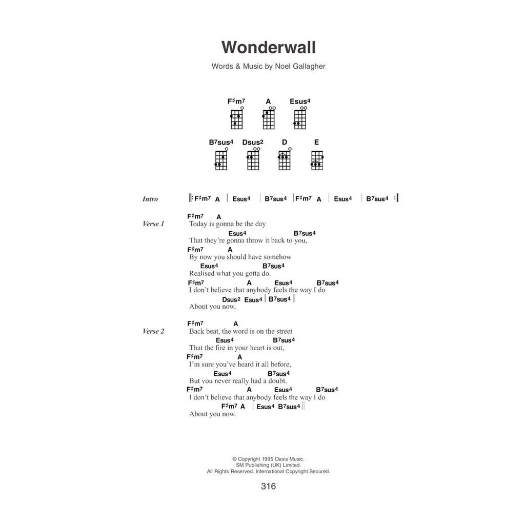 Hal Leonard The Little Black Ukulele Songbook songboek voor ukelele