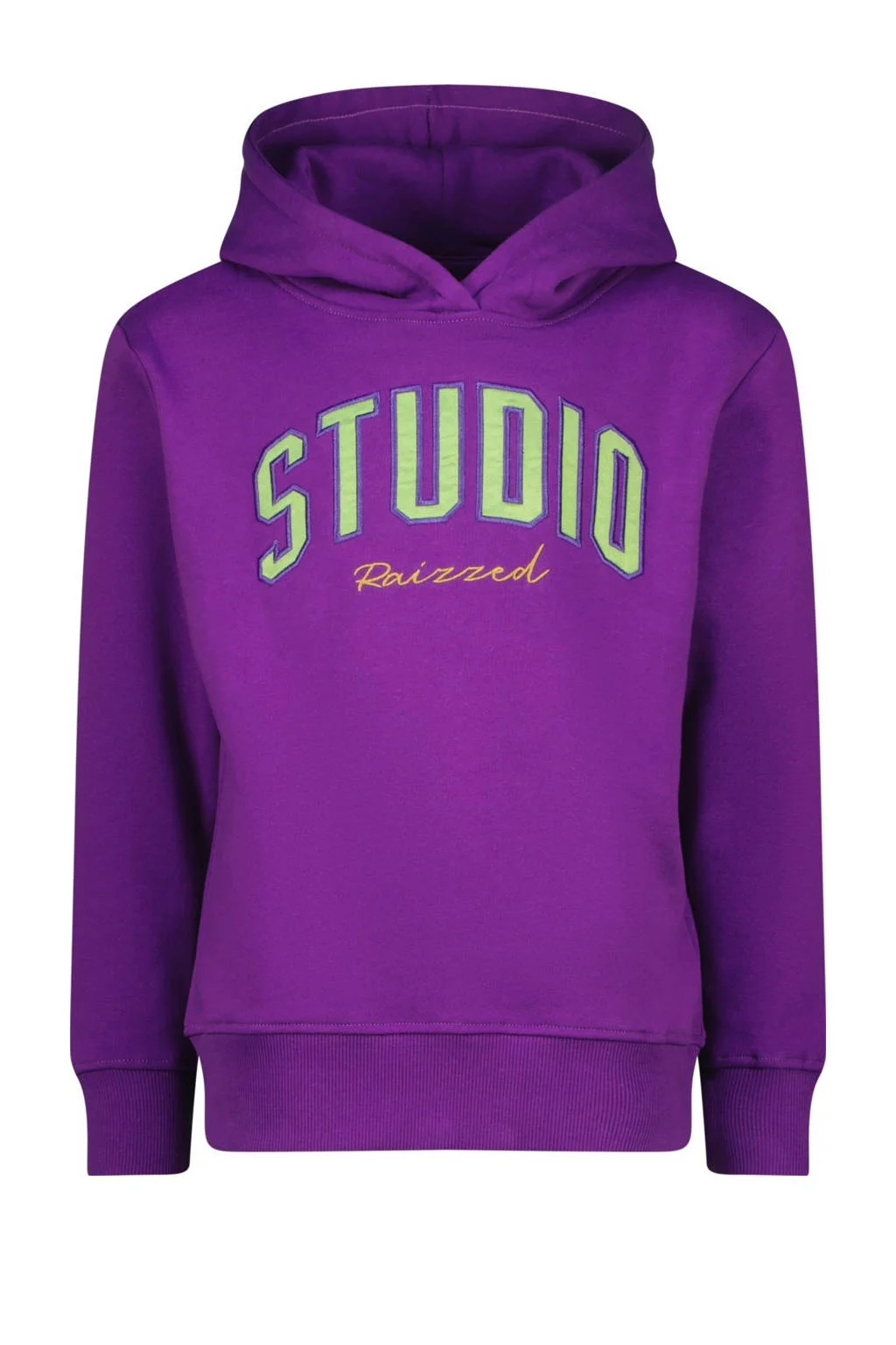 Raizzed hoodie paars
