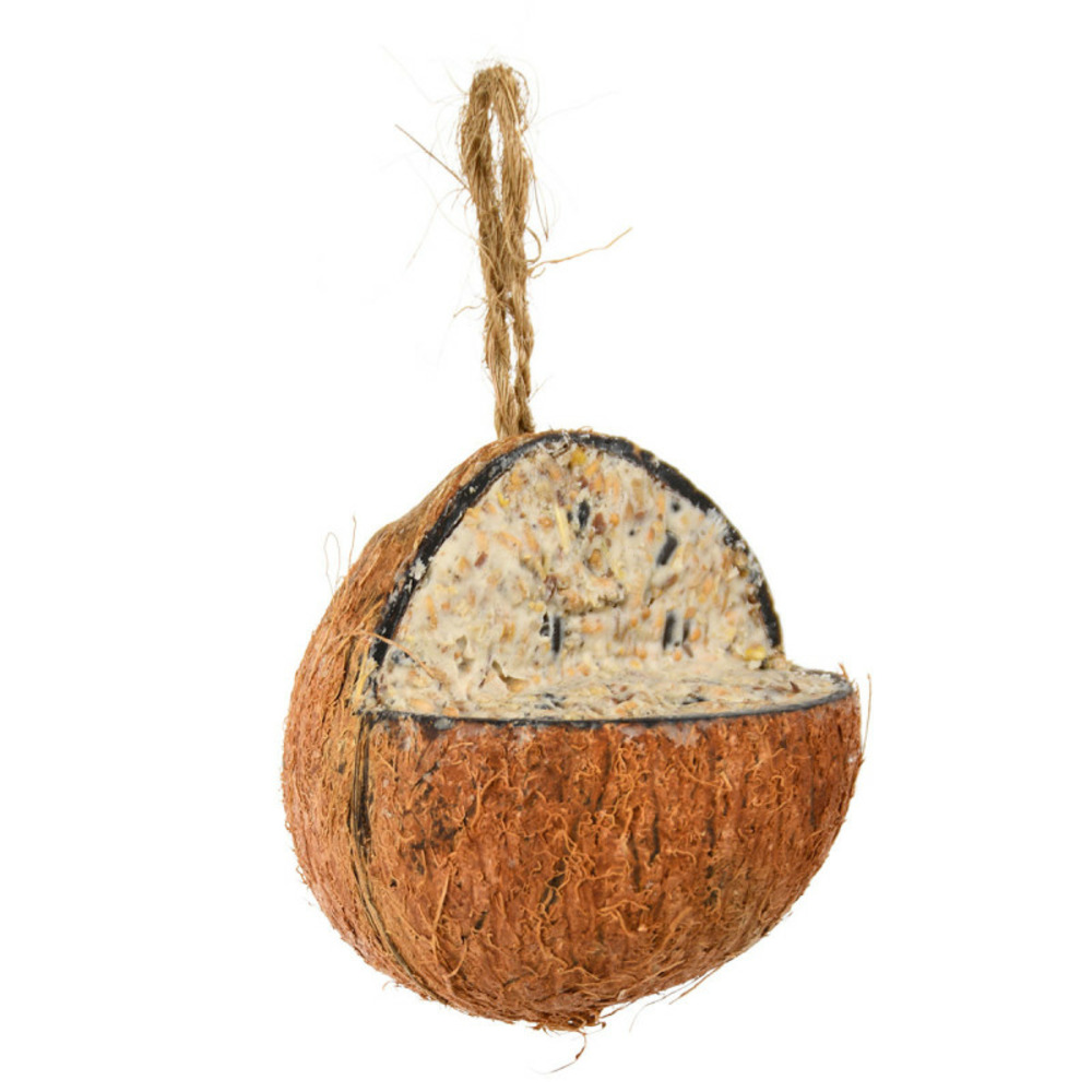 Graines oiseaux noix de coco suspendre