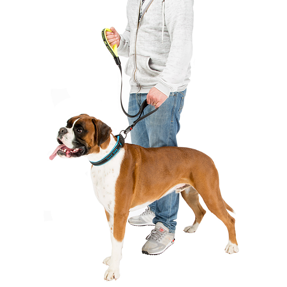 Ferplast laisse pour chiens en nylon sport dog matic g20/120, innovant mousqueton avec mécanisme magnétique, rembourrage souple,
